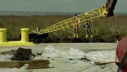 Workmen watch as a crane lifts equipment over a marsh damaged by an oil spill. Stock Footage