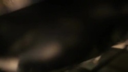 sautï¿½ed vegetables Stock Footage