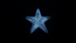 Glowing Paper Star Animation, Icy Blue Stock Footage