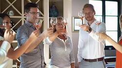 Wine tasting, 4k. Stock Footage