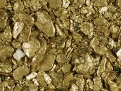 Gold nuggets panned from a river in the Ecuadorian Andes Stock Footage