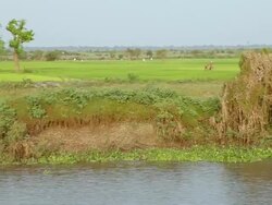 WS POV Shore of Mekong River / Saigon, Vietnam  Stock Footage