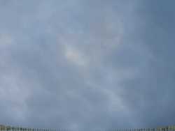 OLD PEAR TREES: FAR - MOVING IN. CLOUDS (loop) Stock Footage