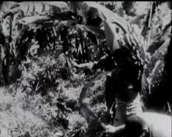 FIJI WARRIORS FOR MALAYA News Clip