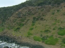 Track over shoreline of Sydney to Hobart Yacht Race; Hobart, Australia Stock Footage
