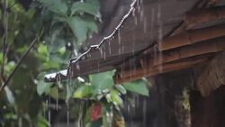 Rain falling from the roof Stock Footage