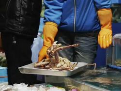 LS, TU Man showing a live giant crab for sale to customers at Noryangjin Fish Market / Seoul, South Korea Stock Footage
