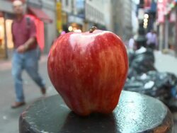 The Big Apple Stock Footage