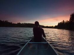 Swedish Wilderness Stock Footage