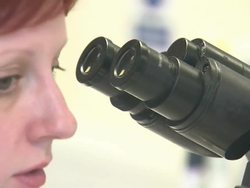 Scientists Using Microscopes in Laboratory News Clip