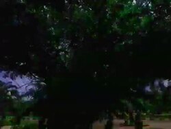 temples Stock Footage