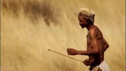 South African hunters run through the savanna. Stock Footage