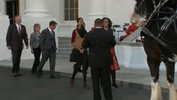 Official Christmas tree arrives at the White House Instructional Video