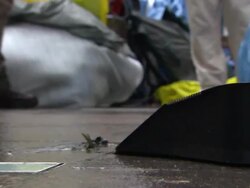 Occupy protest camp in Zuccotti Park News Clip