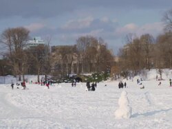 Winter scene in Prospect Park/Long Meadow with snowman Stock Footage