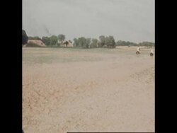 RR8003/1 SPL HORSE RIDE THRU HISTORY . News Clip