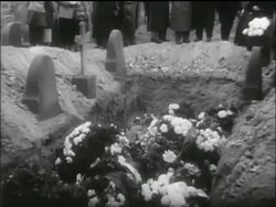 B/W 1956 tilt down mass grave site filled with flowers  / Hungarian uprising Stock Footage