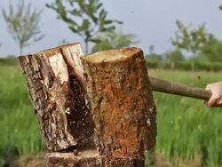 CU SLO MO Man hitting on wood by axe for splitting wood / Vieux Pont, Normandy, France Stock Footage