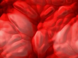 Bloody Human/Animal Tissue Stock Footage