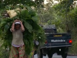  MS Women carrying loads on busy road / Kurseong, West Bengal, India Stock Footage