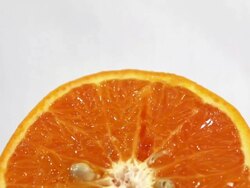 ï»¿Fresh oranges. Stock Footage