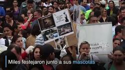 CLEAN : Costa Rica ya tiene ley contra maltrato animal News Clip
