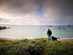 WS SLO MO POV View of young man walking his dog on trail by ocean / Cape Blanco State Park, Oregon, United States Stock Footage
