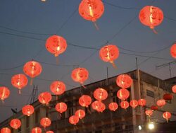 Chinese Lantern Stock Footage