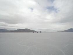Slow motion of horses running. Stock Footage
