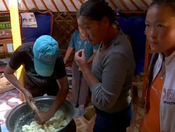 MS Nomads making cheese in Yurt / Central-south Mongolia, Mongolia Stock Footage