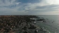 Aerials over Atlantic shore off Gansbaai News Clip