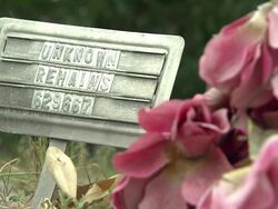 Cemetary near Texan border with Mexico News Clip