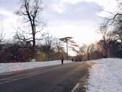 Bicyclist and joggers go by on rode in Prospect Park Stock Footage