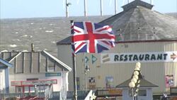 UKIP's Diane James quits as leader after 18 days News Clip