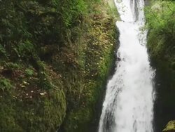MS TD Shot of waterfall pours into hidden river canyon with lots of green moss / Hood River, Oregon, United States  Stock Footage