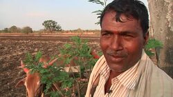 The human cost of India's crippling drought Instructional Video