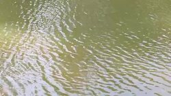 Water fall swaying in wind Stock Footage