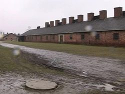 VOICED: Call for cash as Auschwitz crumbles News Clip