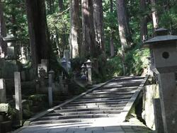 MS Stone-paved stairs and graves in mountain / Kouya, Wakayama, Japan Stock Footage