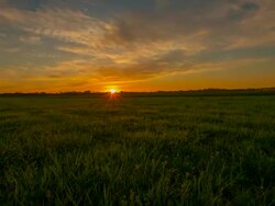 8K T/L Green meadow at sunrise Stock Footage