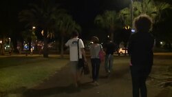 CLEAN : New shark regulations considered after News Clip