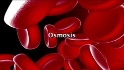 Understanding Osmosis & Diffusion Instructional Video