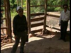 THAILAND: TOURISTS FLOCK TO SEE DINOSAUR SKELETON News Clip