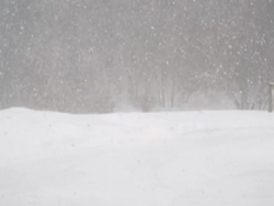 Snow softly falls on a winter landscape Stock Footage