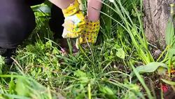 Active Senior Woman Gardening Stock Footage