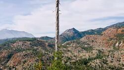 Mt St. Helen Eruption Stock Footage
