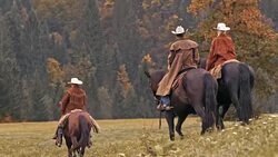 Three ranchers riding horses across meadow Stock Footage