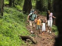 Family walking in a forest, Malshej Ghat, Maharashtra, India Stock Footage