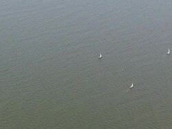 WS AERIAL TD View top over boat sailing in Noth Sea / Norderney, Lower Saxony Stock Footage
