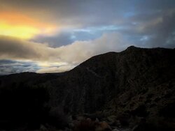 Sunset with Fog at Joshua Tree Stock Footage